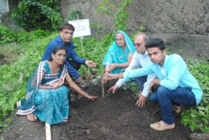 Read more about the article Plantation Programme